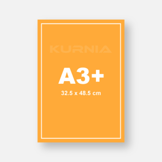 Print A3+ Art Paper 120
