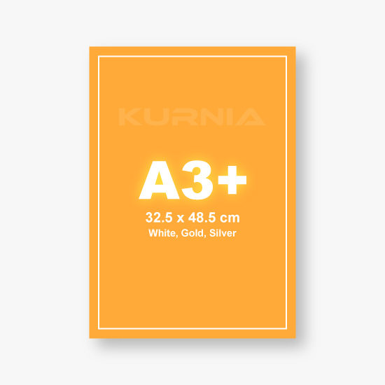 Print A3+ Art Paper 120 Special Color