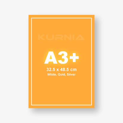 Print A3+ Special Color